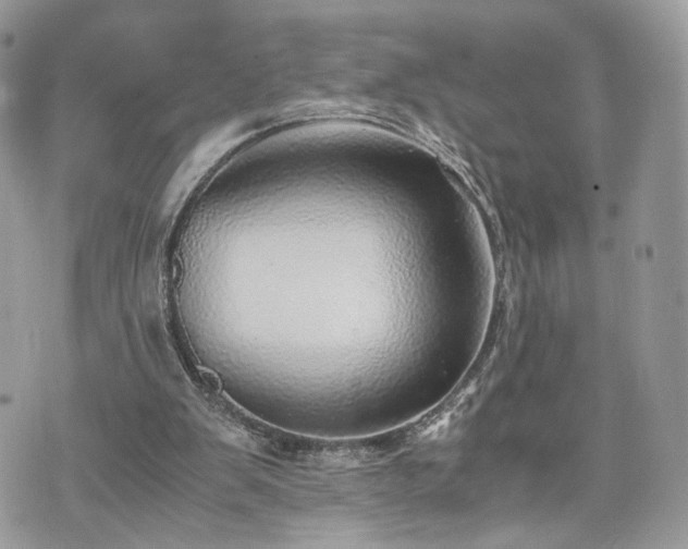 X0000076090103200609291236