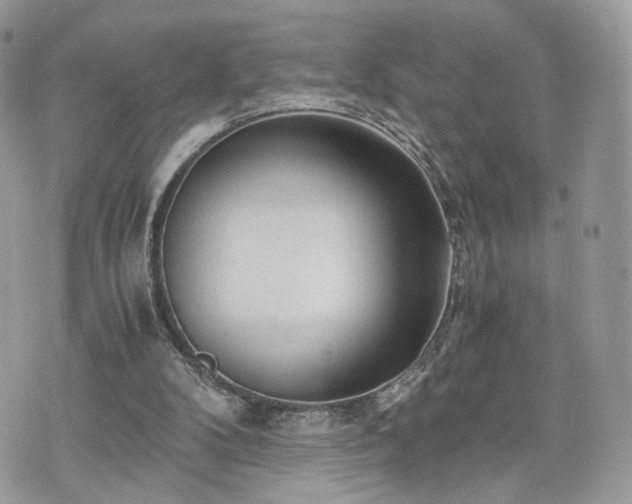 X0000076090104200609291236