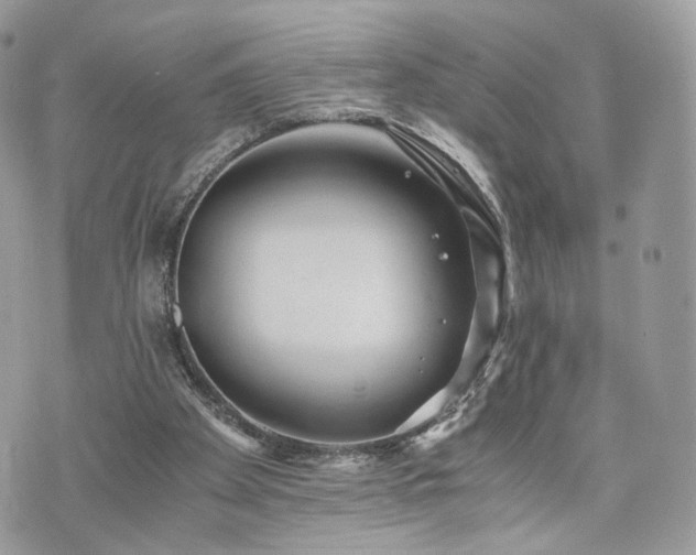 X0000076090105200609291236