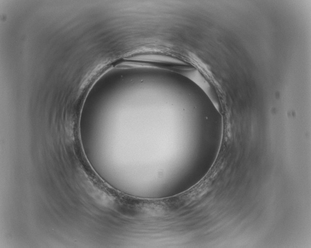 X0000076090106200609291236