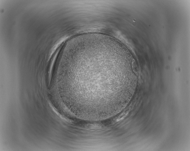 X0000076090107200609291236