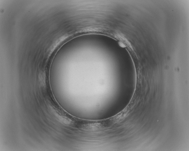 X0000076090108200609291236