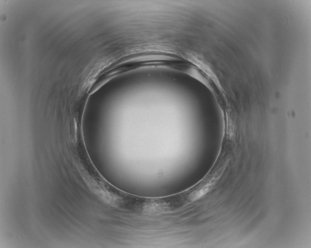 X0000076090109200609291236