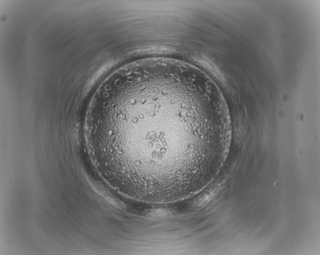 X0000076090111200609291236