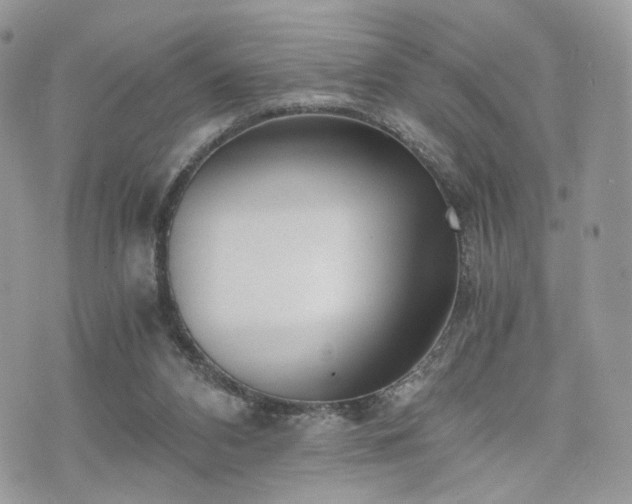 X0000076090112200609291236