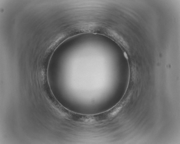 X0000076090113200609291236