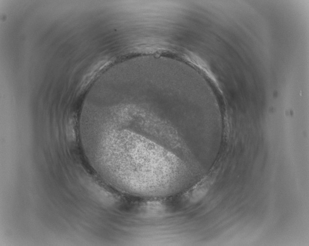 X0000076090114200609291236