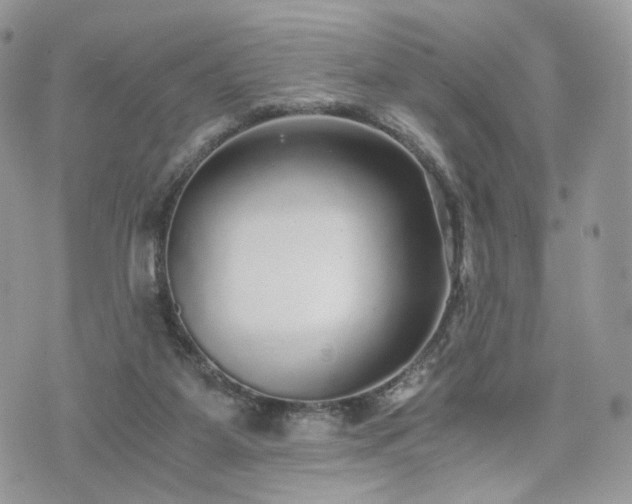 X0000076090115200609291236