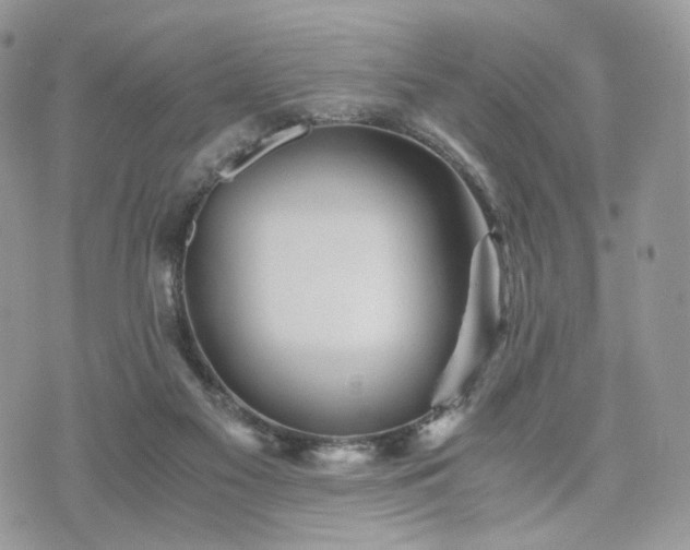 X0000076090117200609291236