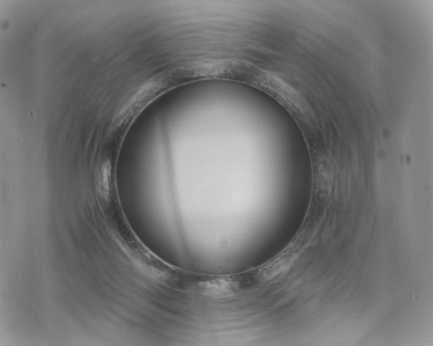 X0000076090118200609291236