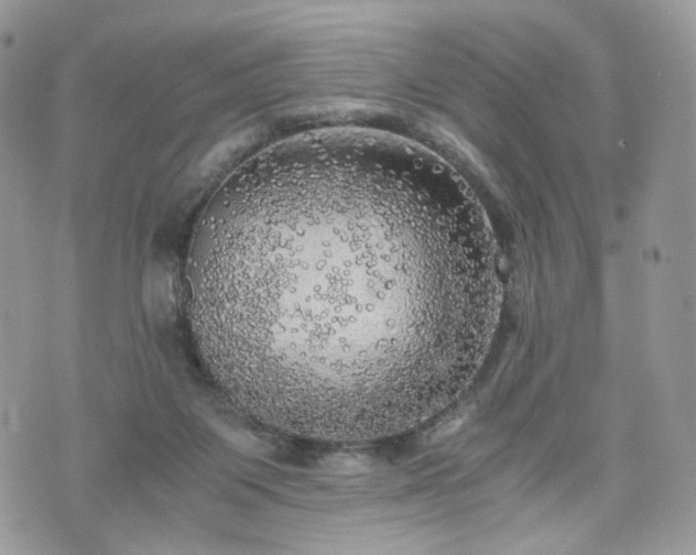 X0000076090119200609291236