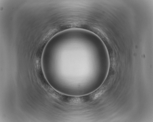 X0000076090123200609291236