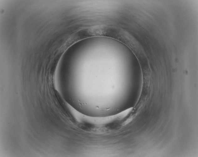 X0000076090125200609291236