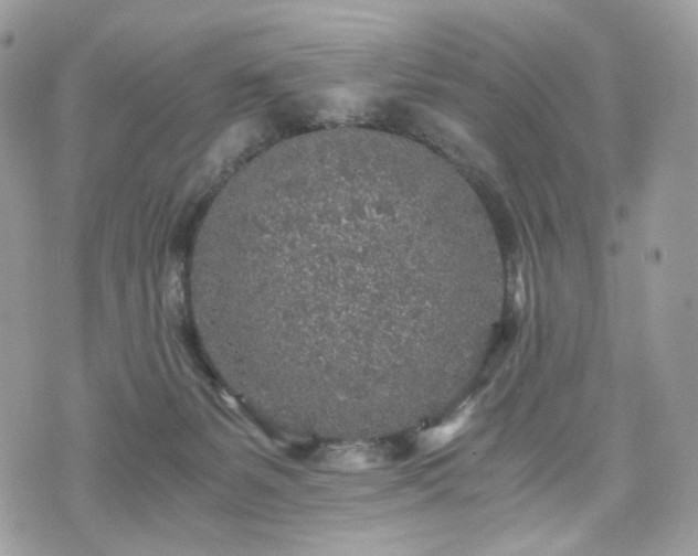 X0000076090127200609291236