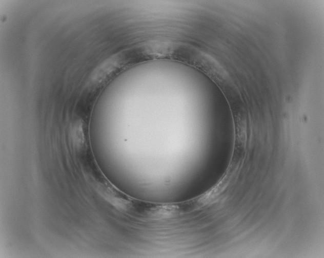 X0000076090128200609291236