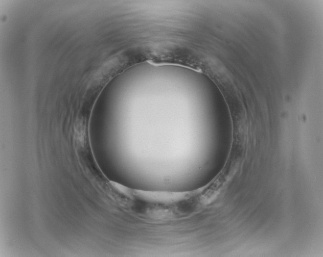 X0000076090129200609291236