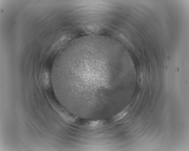 X0000076090130200609291236