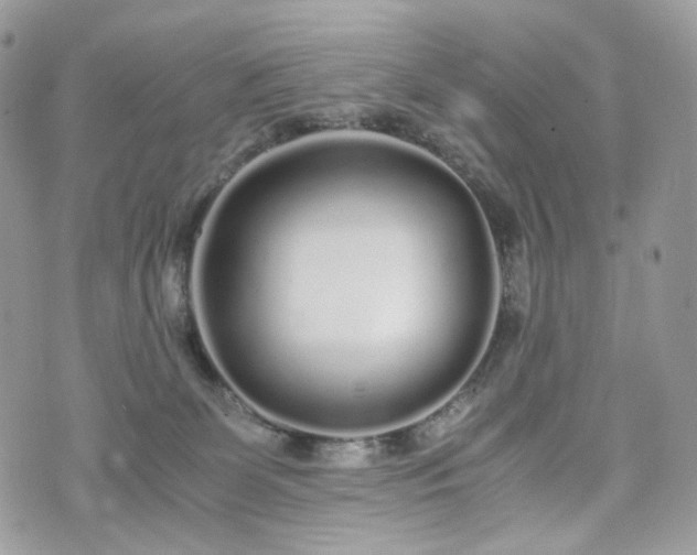 X0000076090131200609291236