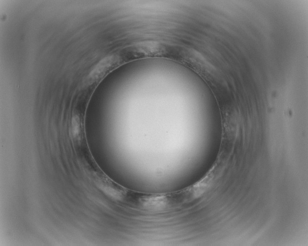 X0000076090132200609291236