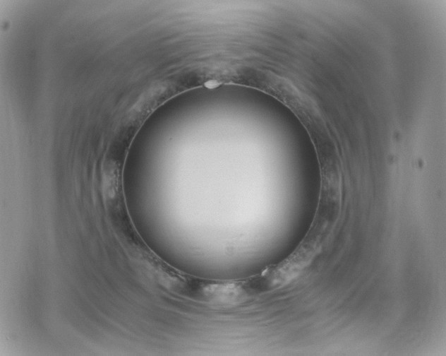 X0000076090133200609291236