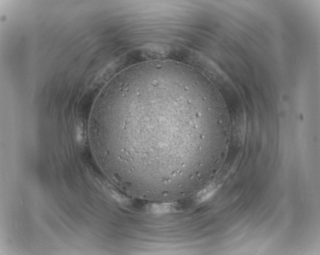 X0000076090134200609291236