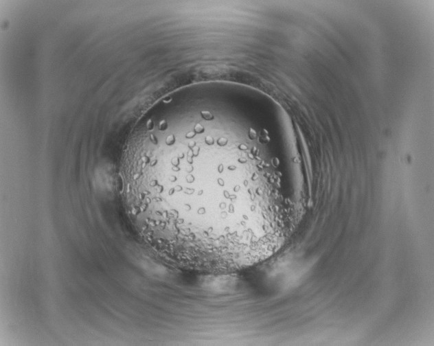 X0000076090135200609291236