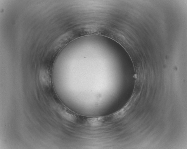 X0000076090136200609291236