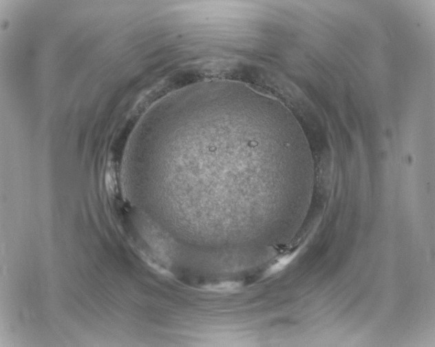 X0000076090137200609291236