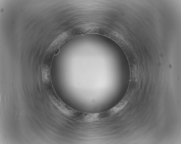 X0000076090138200609291236