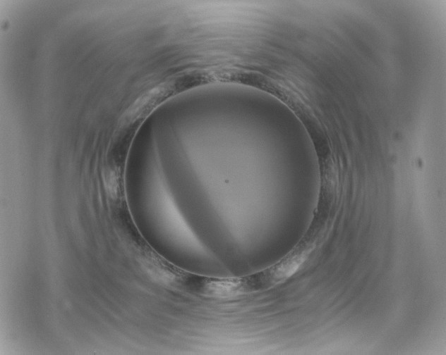 X0000076090139200609291236