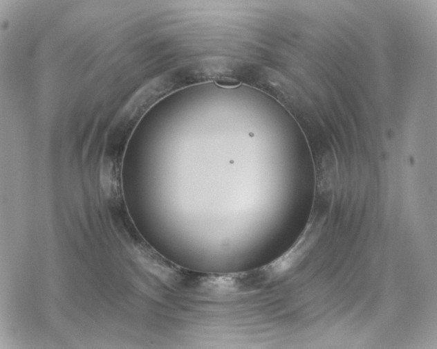 X0000076090140200609291236