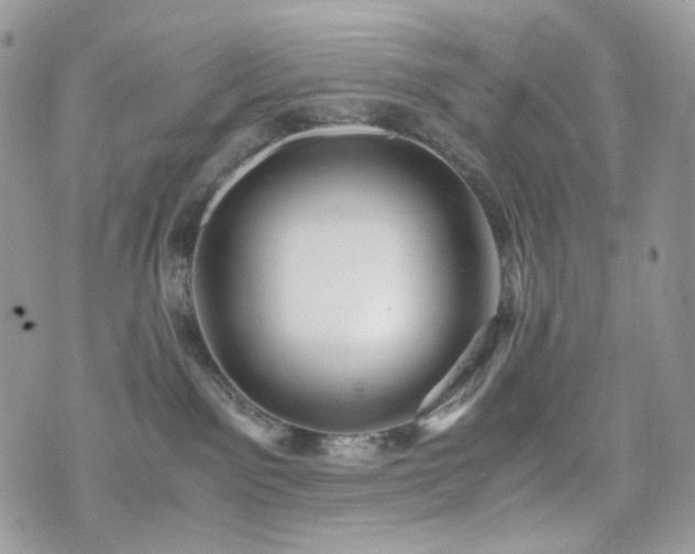 X0000076090141200609291236