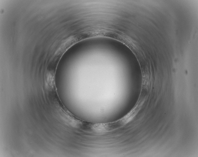 X0000076090142200609291236