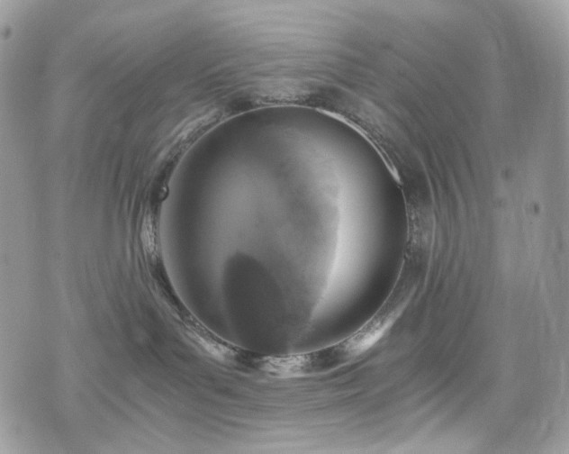 X0000076090143200609291236