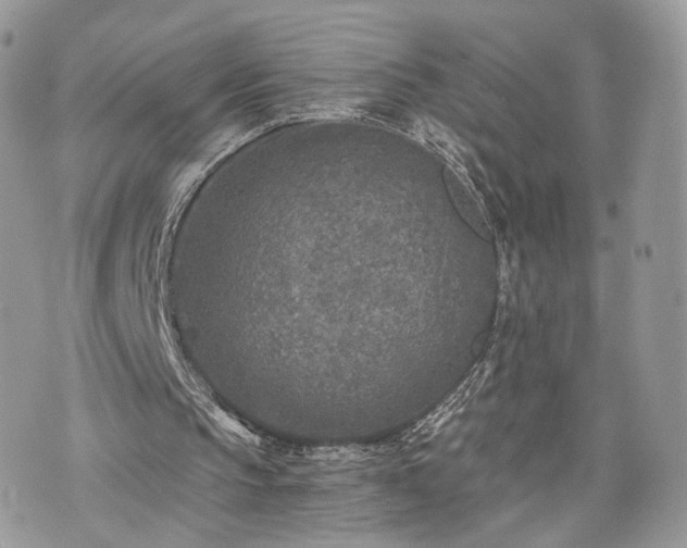 X0000076090145200609291235