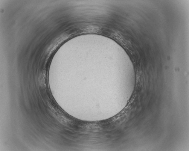 X0000076090146200609291235