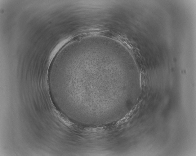 X0000076090147200609291235