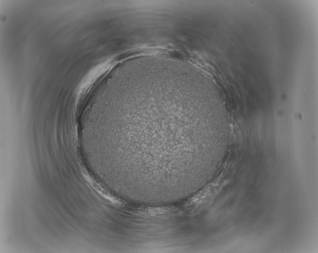 X0000076090149200609291235