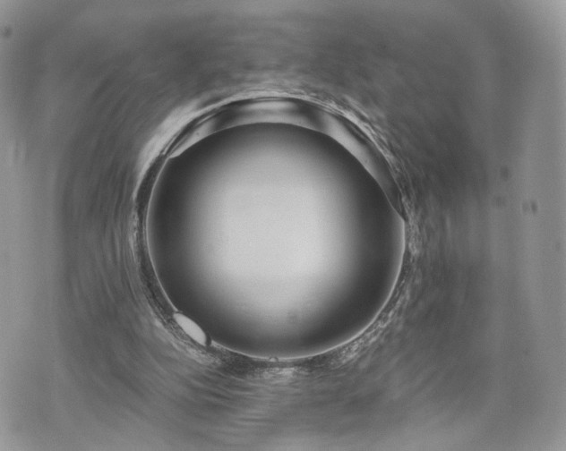 X0000076090152200609291235