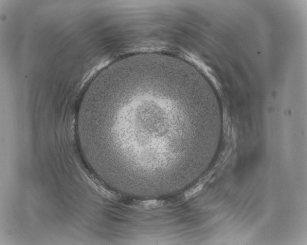 X0000076090153200609291235