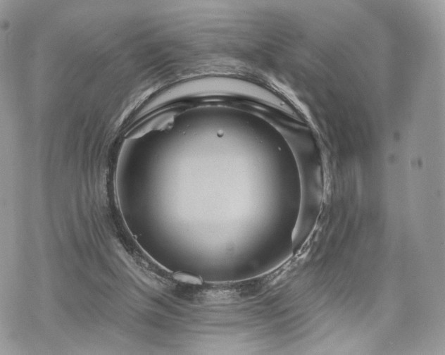 X0000076090154200609291235