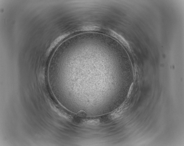 X0000076090155200609291235