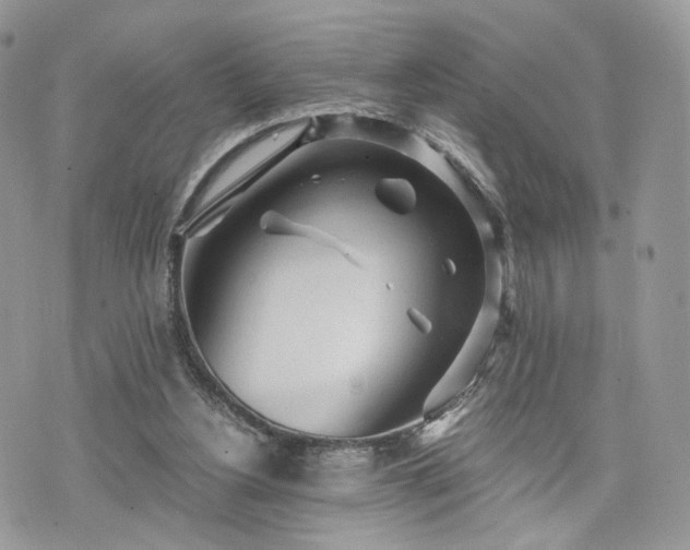 X0000076090156200609291235