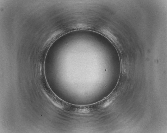 X0000076090157200609291235