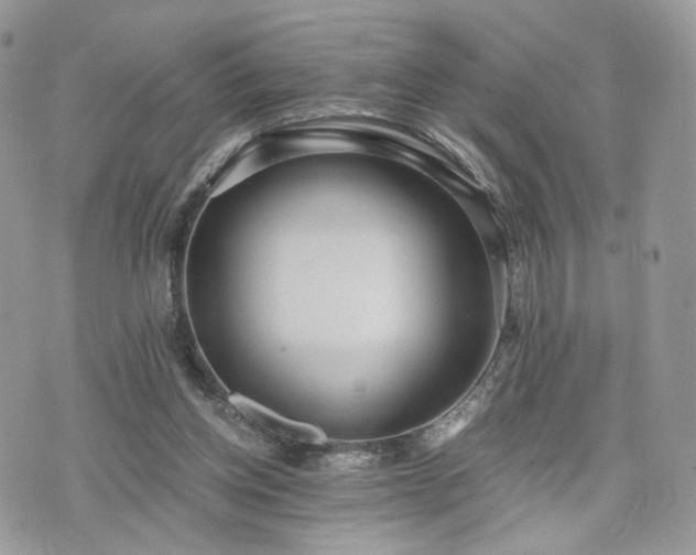 X0000076090158200609291235