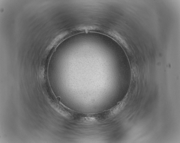 X0000076090159200609291235