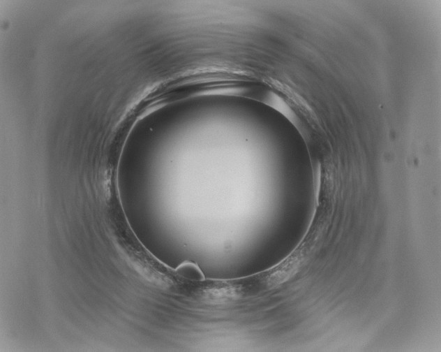 X0000076090160200609291235