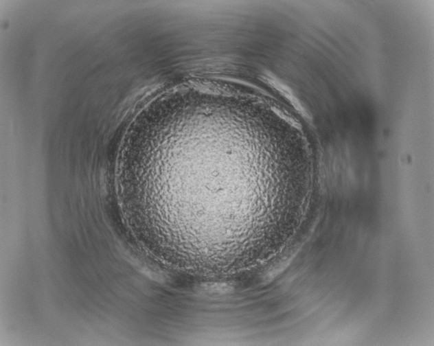 X0000076090161200609291235