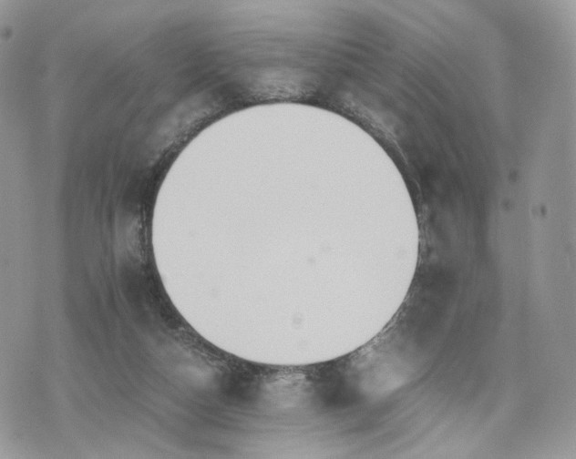 X0000076090162200609291235