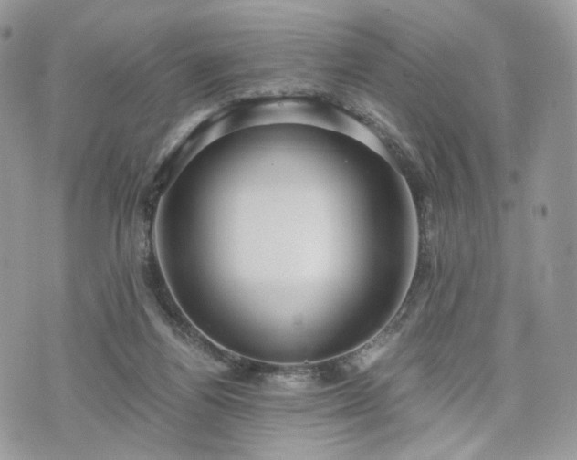 X0000076090164200609291235